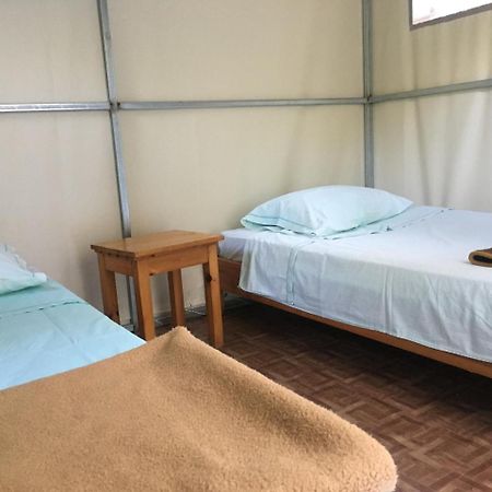 ホテル Camping パレオカストリッツア エクステリア 写真