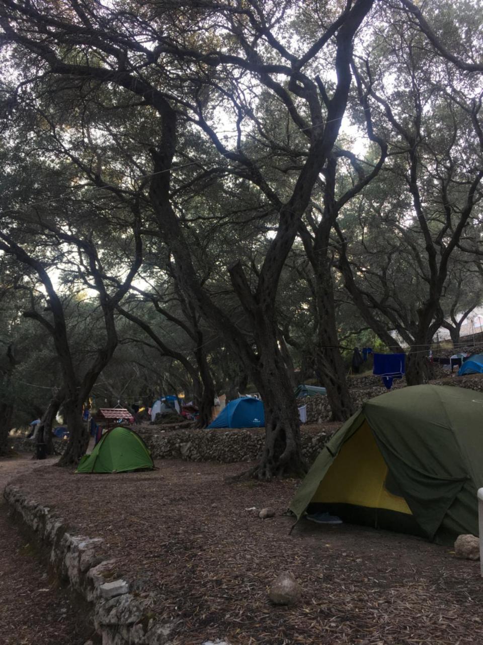 ホテル Camping パレオカストリッツア エクステリア 写真